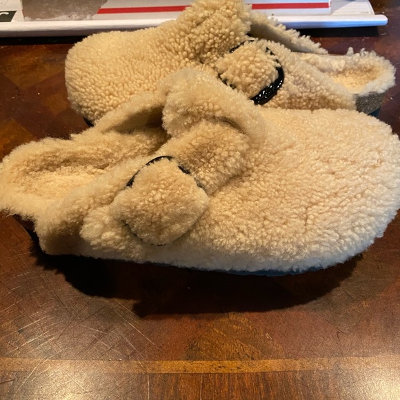 papillio boston big buckle clogs in teddy